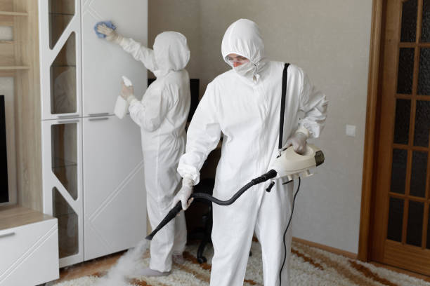 Affordable Drug Lab Cleanup solutions in Hampton, NJ